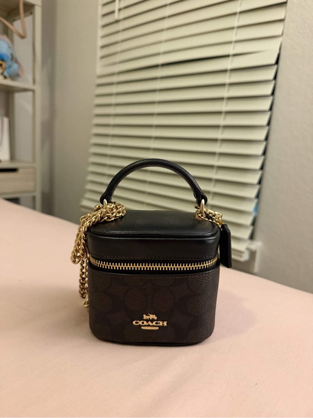 Coach Black and Brown Signature Mini Vanity Crossbody with Gold Hardware